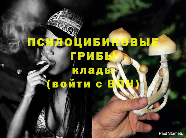 дмт Зерноград