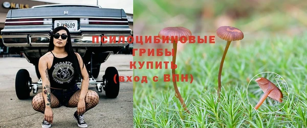 ешки Зеленокумск