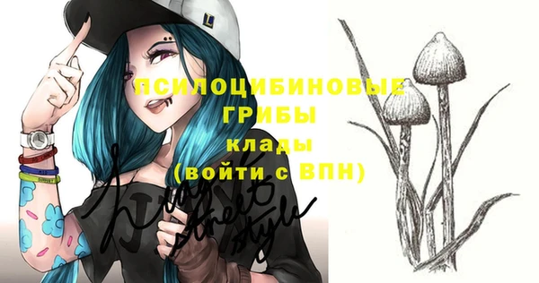 дмт Зерноград