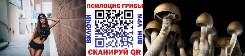 мега зеркало  наркотики  Октябрьск  Псилоцибиновые грибы Cubensis 